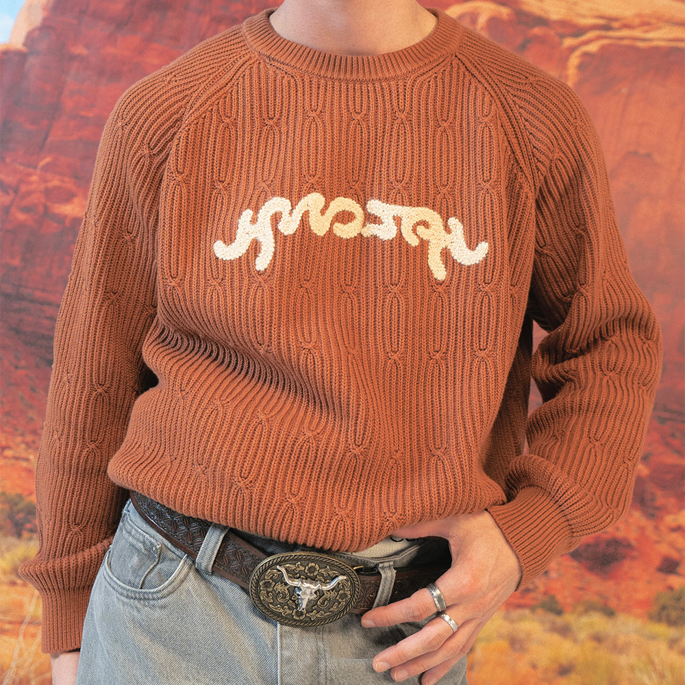 Pull en maille : Longhorn